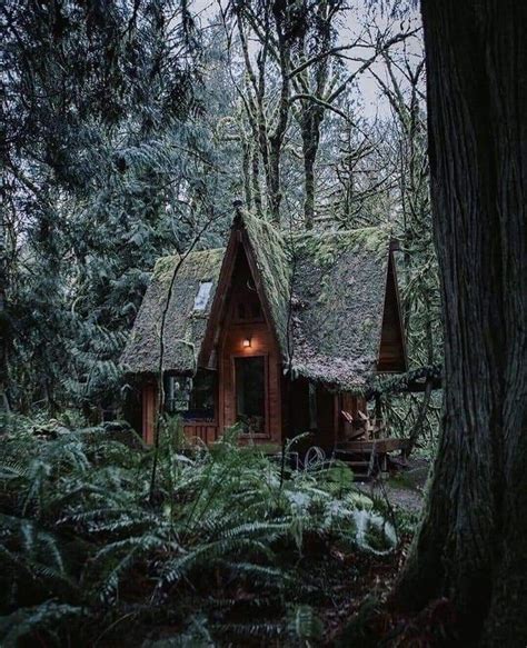 Magical cottage in the woods